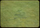 Thumbnail: Green grass from Urine practice G