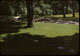 Thumbnail: Excellent Fescue,Bent-Blue shaded lawn