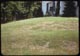 Thumbnail: Chinch bug damage creeping bent lawn