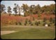 Thumbnail: Landscaped Hillside behind G native sumac